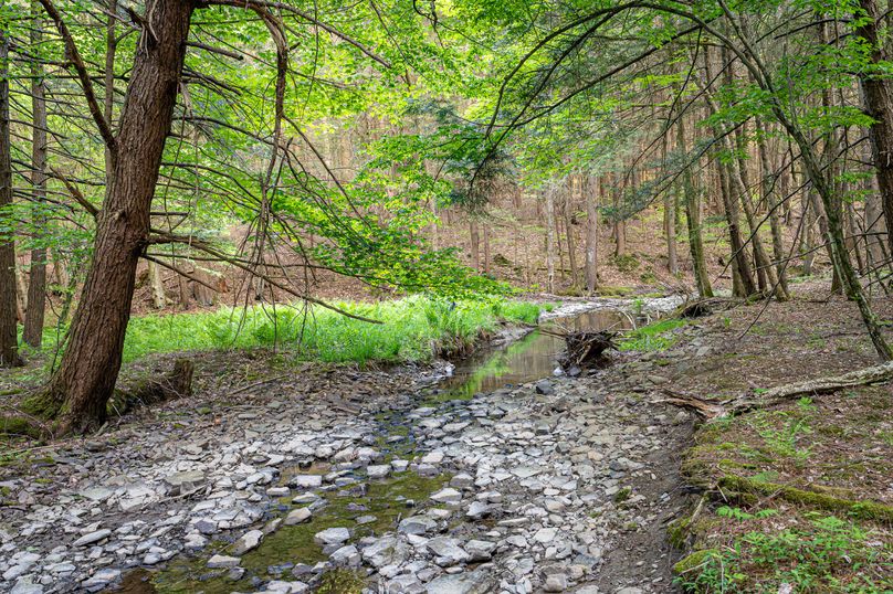 Tompkins_38.42_Shea_Photos_42