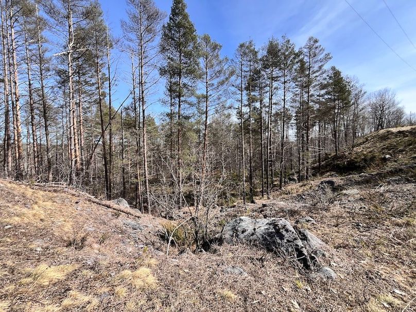 Lewis_26_Somberg Photo 44