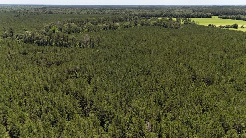 dji_fly_20250528_020518_0048_1748386802009_photo