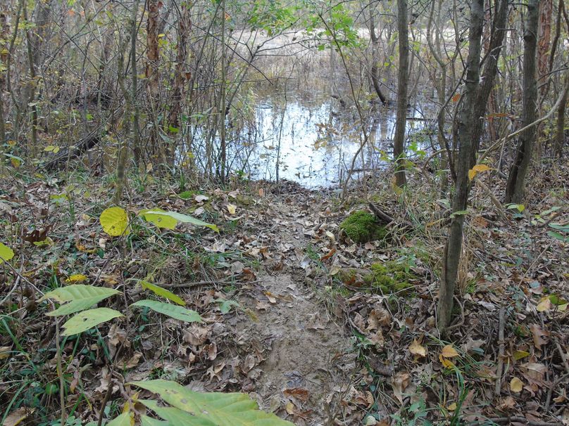 DSC04070 entering Rend Lake Wildlife Refuge 2020