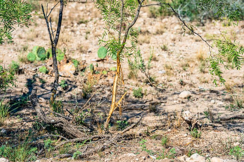 24-web-or-mls-DSC08532