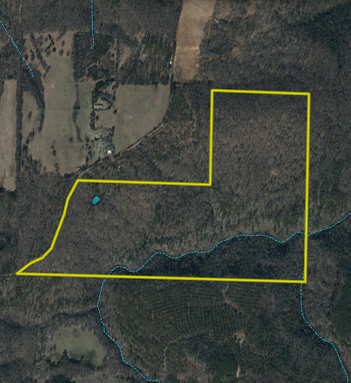 Screenshot 2026-02-14 at 10.02.19 AM