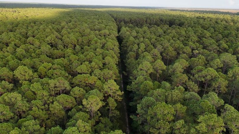 DJI_20251007182855_0006_D