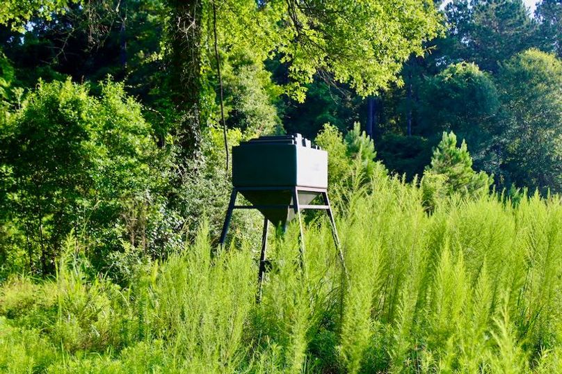 67B5ED5C-0322-4C49-A24B-43752BAFE530_1_201_a