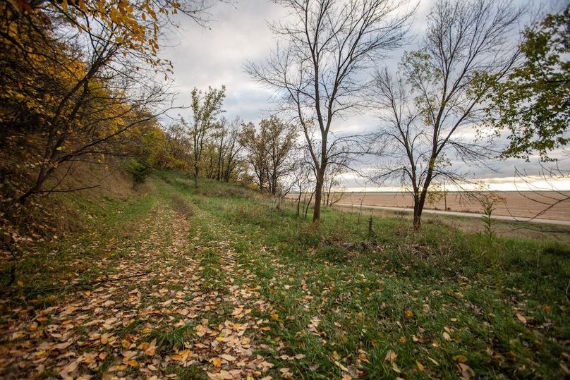 MONONA CO IA 14.95_16