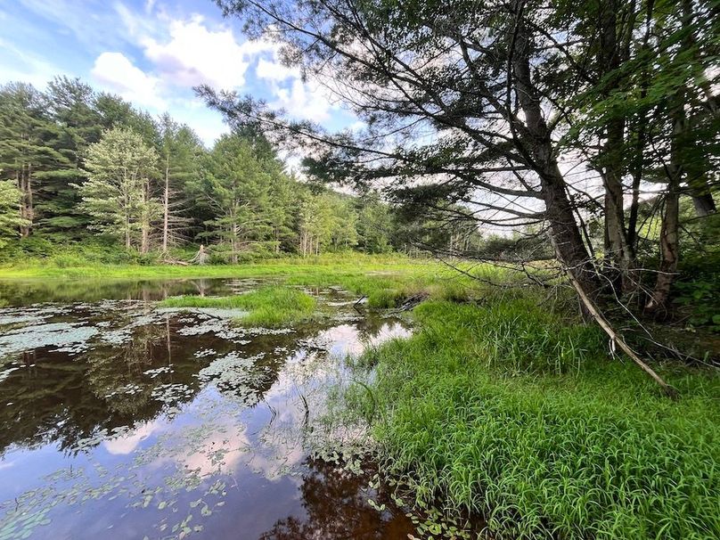 Chemung_78.26+Gutchess_Lumber_Photos_31