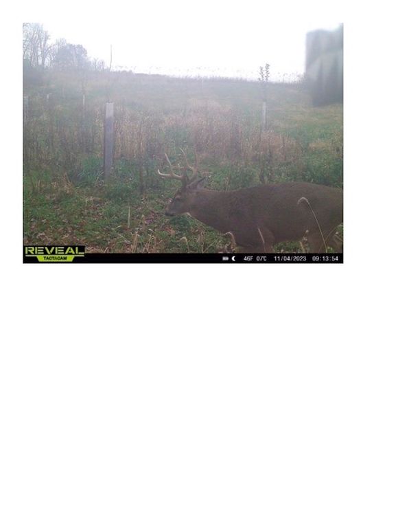 Trail Cam 1