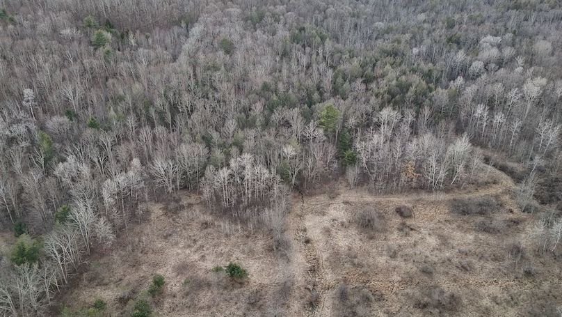 Chemung_59.65_Kocsis_photos_37