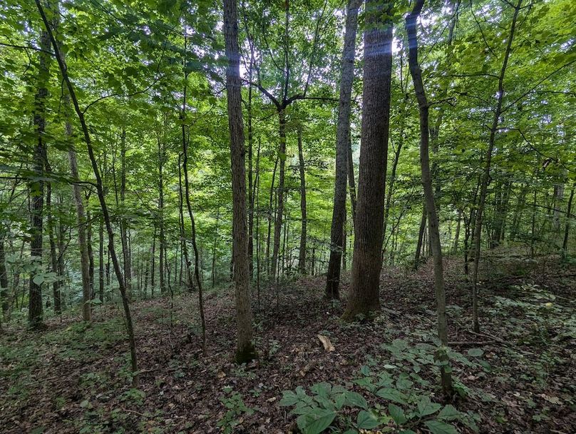 PXL_20240819_145421992