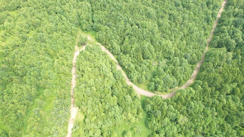 dji_fly_20240621_113732_300_1718984618925_photo