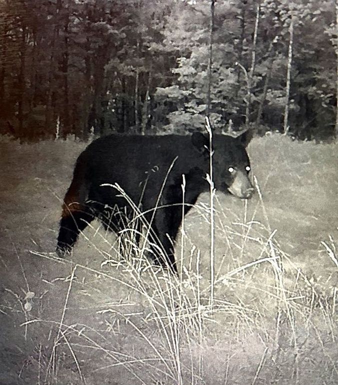 Scanned_20251017-1754-04