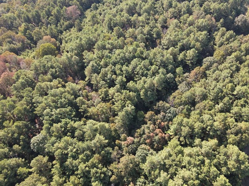 dji_fly_20250902_095524_729_1756825013865_photo