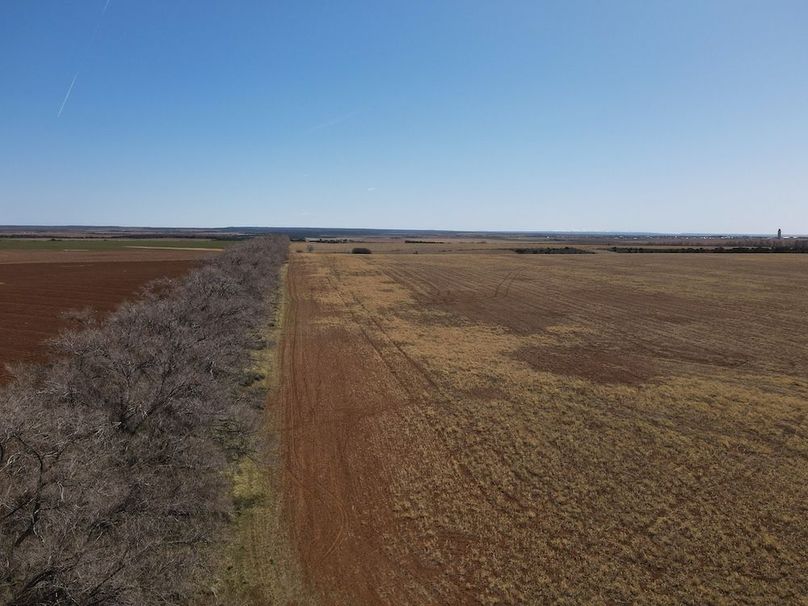 DJI_0954