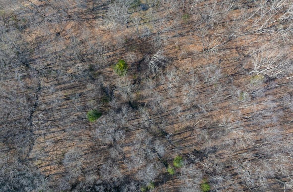 DJI_20260326164843_0004_D