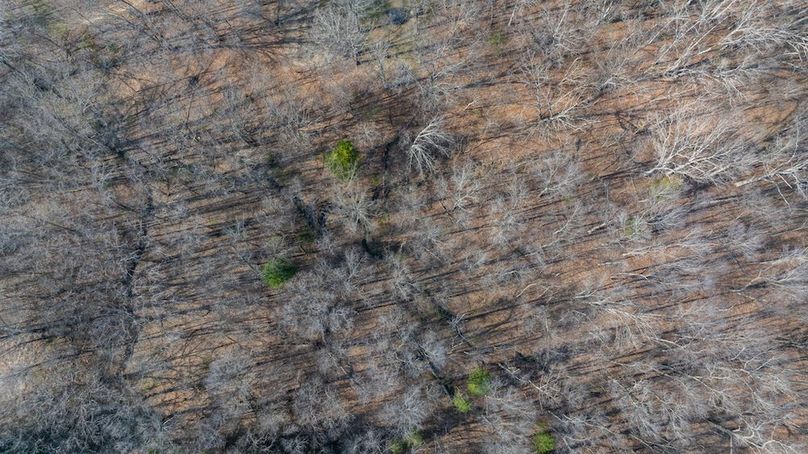 DJI_20260326164843_0004_D