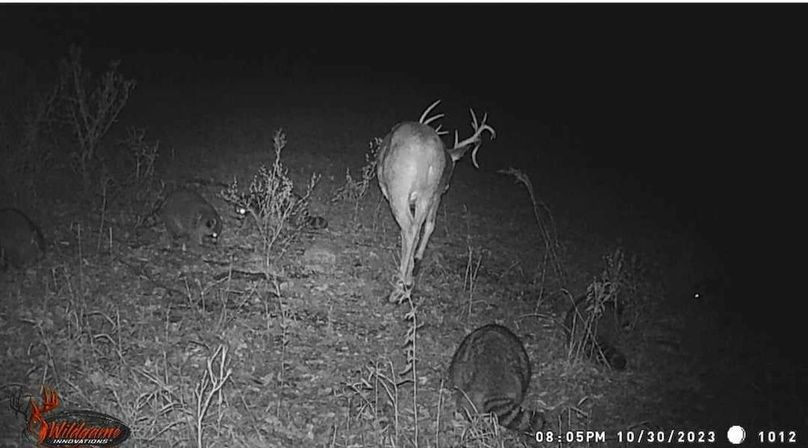 received_961311148715797