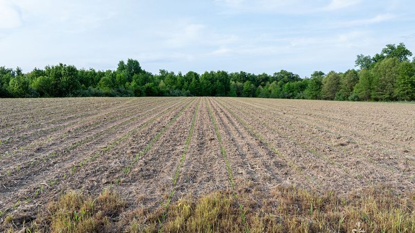 DJI_20260426182012_0015_D