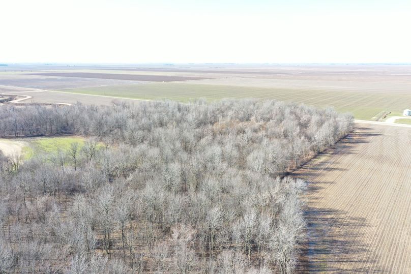 DJI_0634