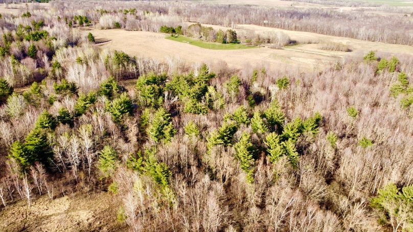 dji_fly_20230504_180726_694_1683241656886_photo_optimized