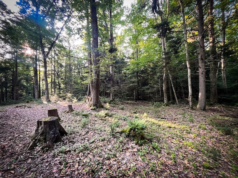 Oswego_25.66_Pettit_Photos_27