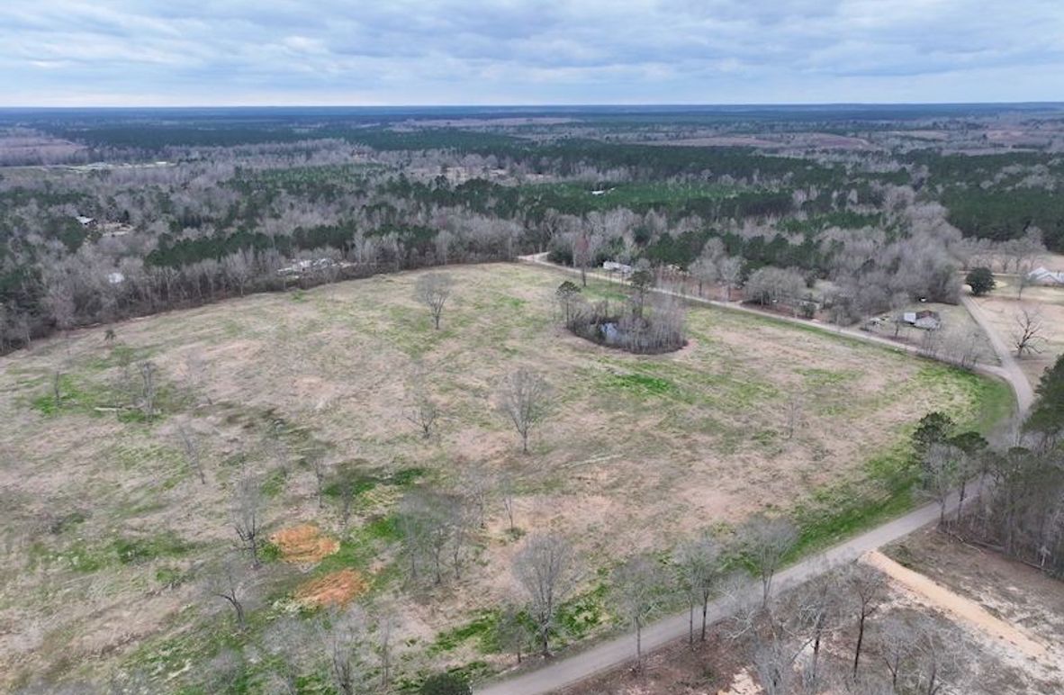 dji_fly_20260217_142926_0137_1771436909683_photo