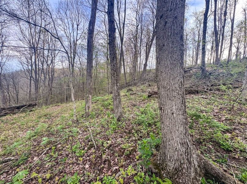 Screenshot 2026-04-21 at 11.36.12 AM