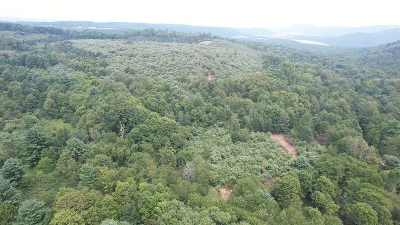 dji_fly_20250806_140630_574_1754530403643_photo