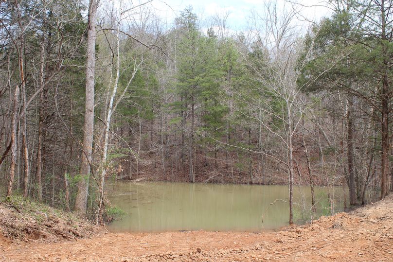 004 the quiet pond nestled in the woods