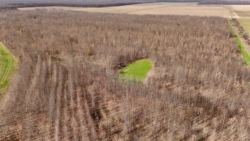 dji_fly_20260325_110152_0700_1774471979255_photo