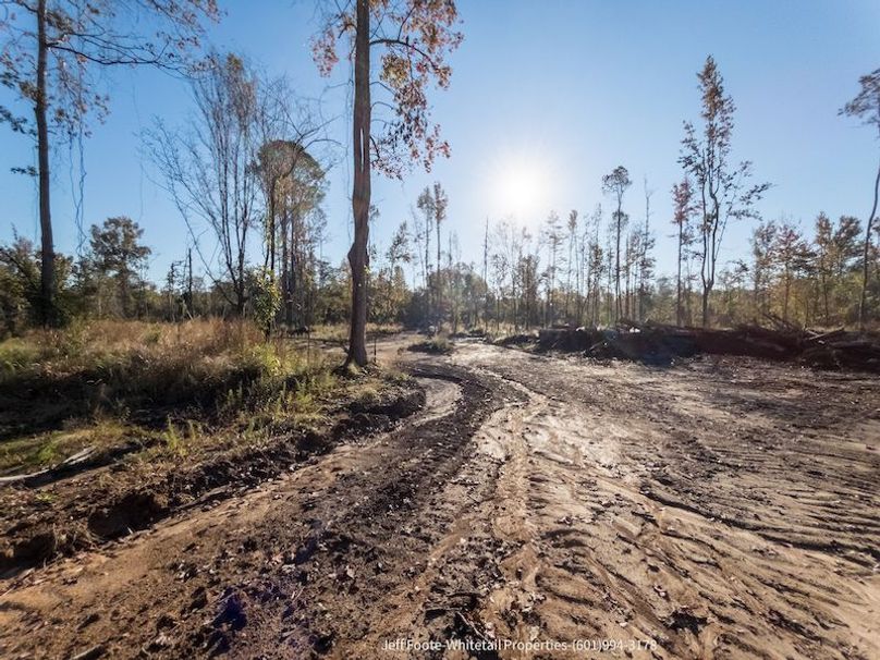 Claiborne Co-189-Geronimo-17