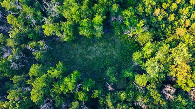 DJI_20240819183747_0152_D