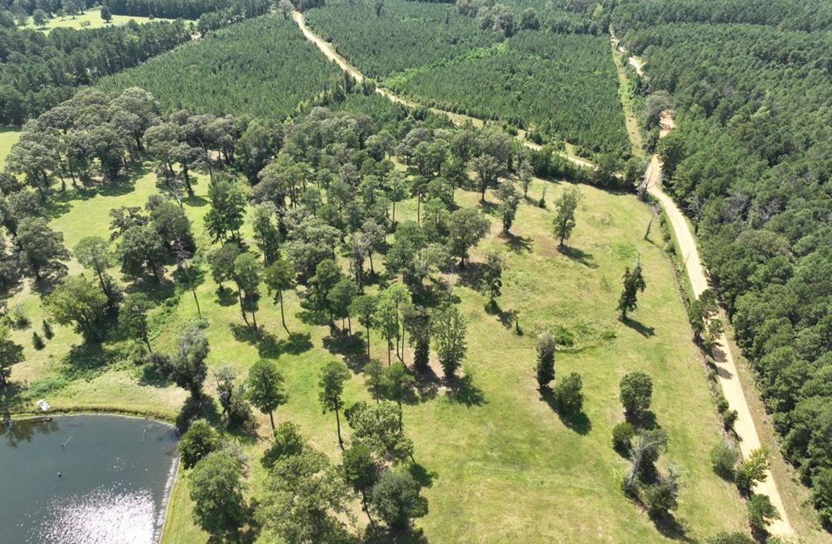 dji_fly_20250828_144932_125_1756499704624_photo