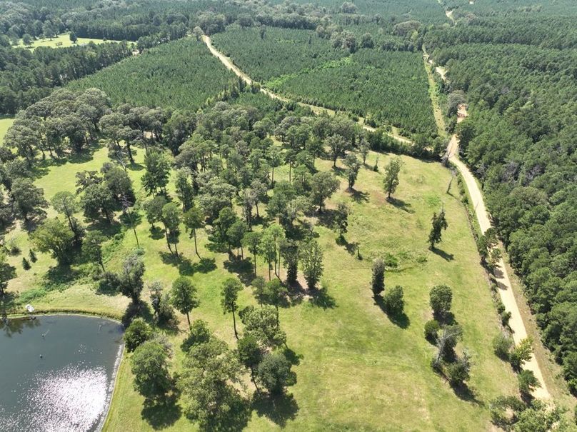 dji_fly_20250828_144932_125_1756499704624_photo