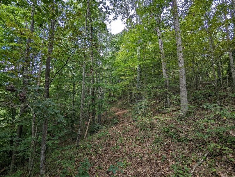 PXL_20230908_181437853