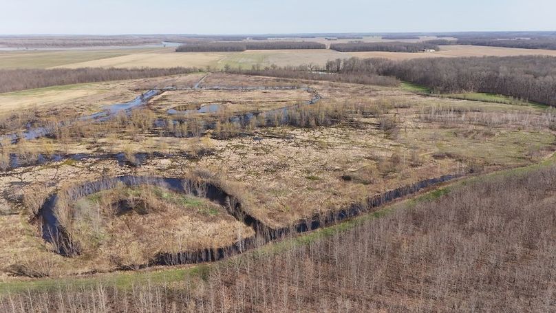 dji_fly_20260325_104954_0667_1774472063676_photo