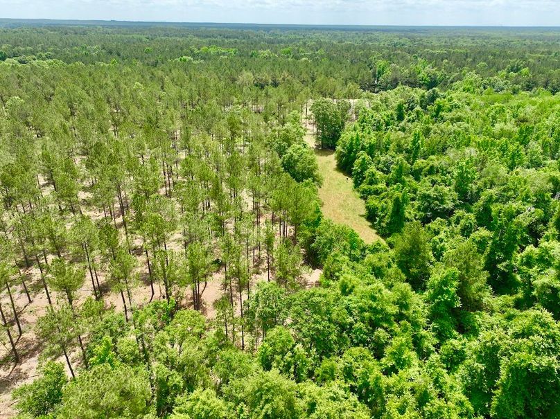 dji_fly_20240508_125530_294_1715187588836_photo