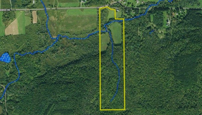 Mapright wetlands