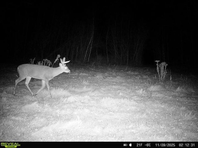 864049056287651-40-4-11092025021230-W1000408