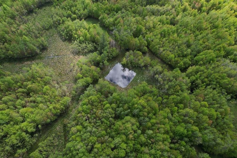 DJI_0095