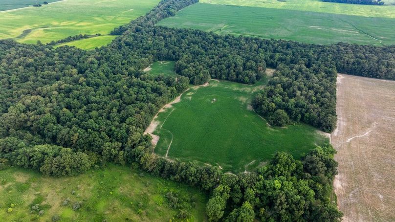 Copy of DJI_20250807062659_0005_D Large