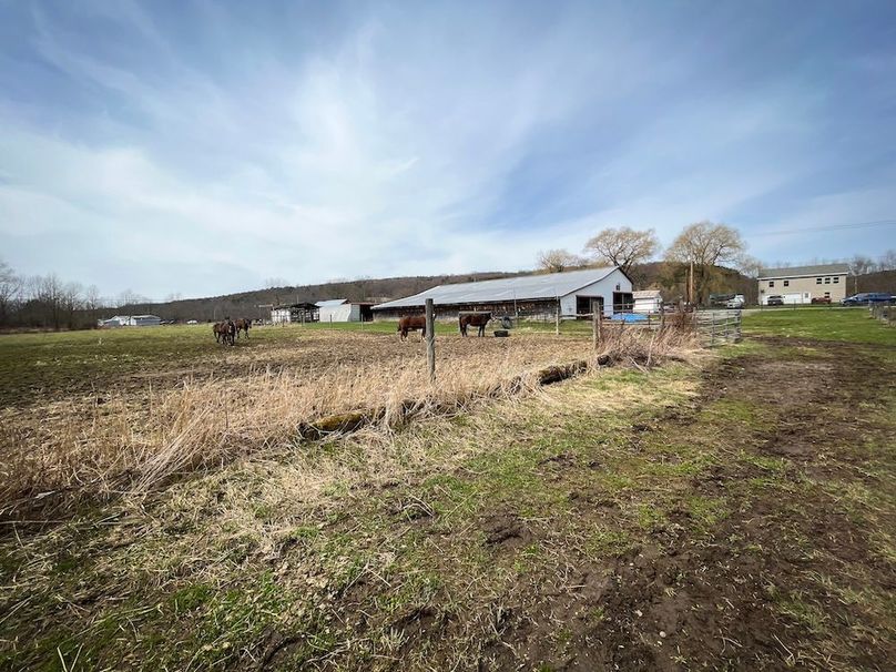 Tioga__NY_109.7_Burris_Photos_21