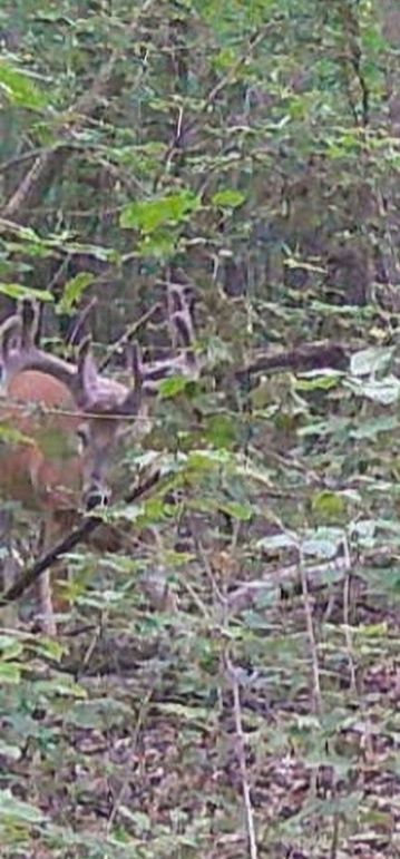 Screenshot_20220808-125302_Gallery