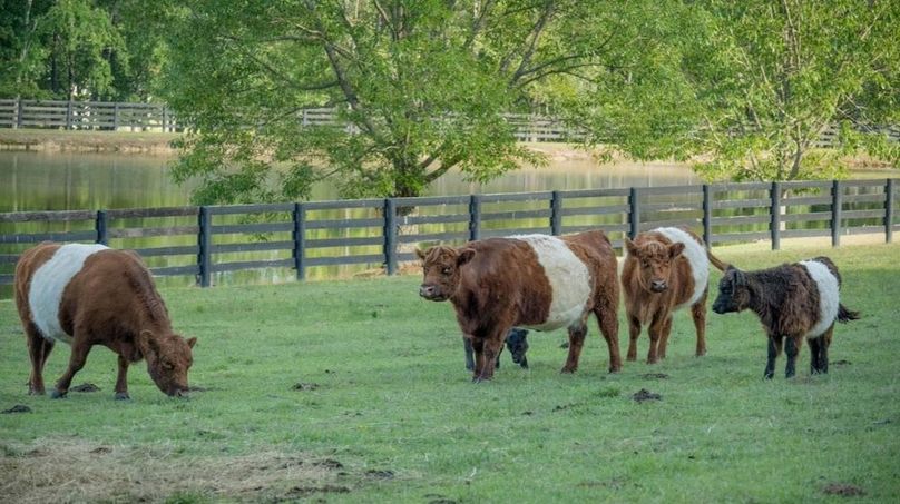 DJI_20250912004716_0391_D