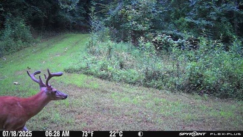 Morgan 111 Trail Cam 4
