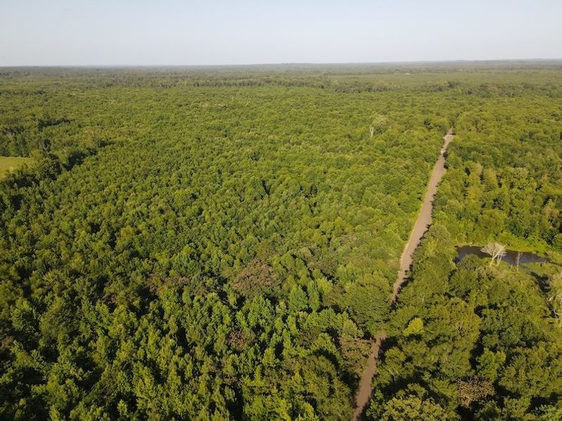 DJI_0399