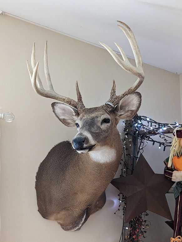 PXL_20230912_192956285