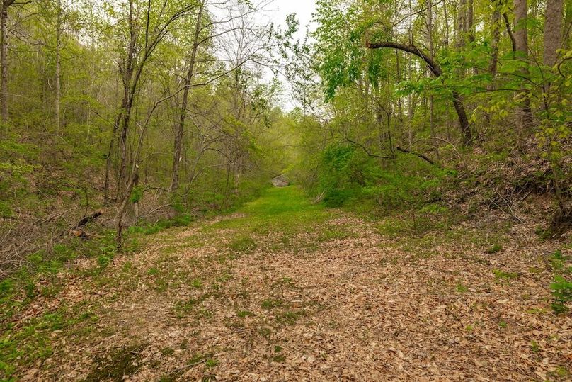 72-web-or-mls-1103 Johnny Spears Rd-66