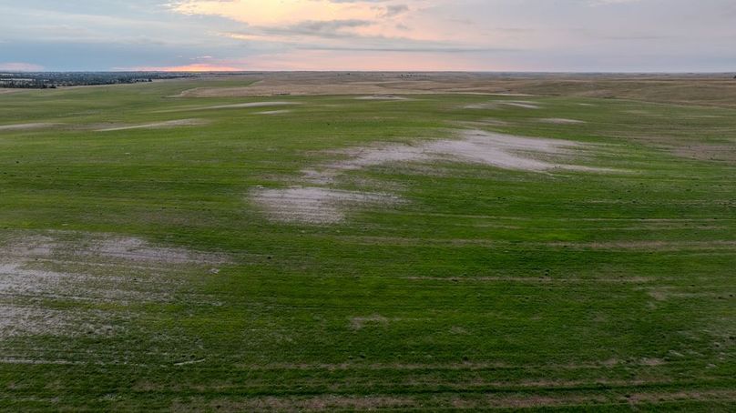 DJI_20250823062236_0221_D-HDR-2