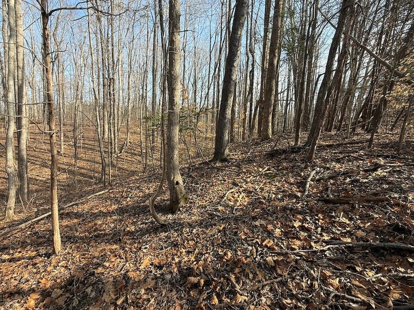 DEAC0512-C1D4-4CEC-AF86-5B290D9EA8C4_1_102_o