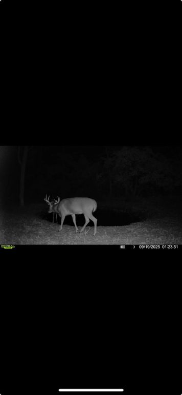 Screenshot 2026-01-06 at 4.35.41 PM